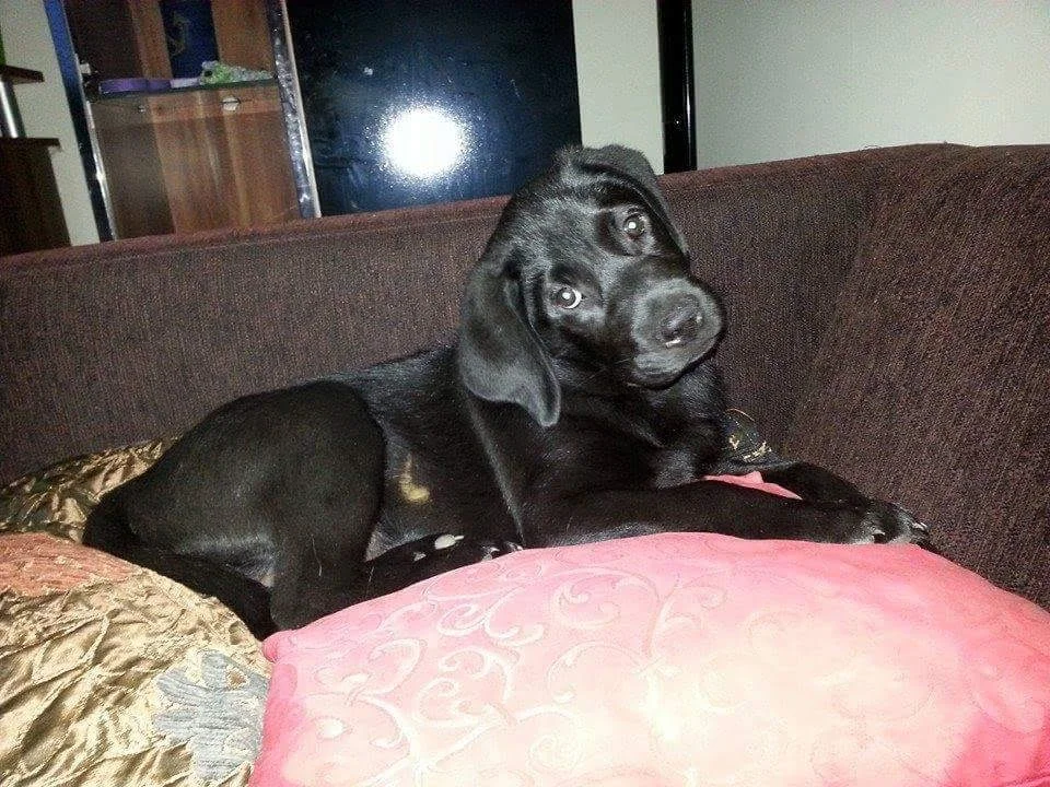Erinnerungsfoto von Gin